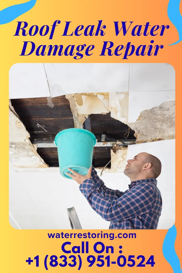 Roof Leak Water Damage Repair in Enochville, NC