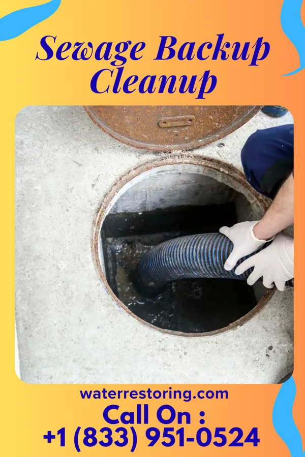 Sewage Backup Cleanup in Enochville, NC