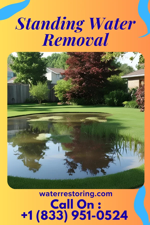 Standing Water Removal in Enochville, NC